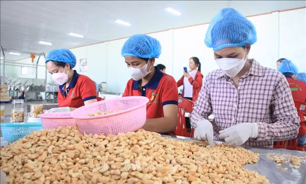 Ngành điều trước áp lực nâng cao giá trị gia tăng