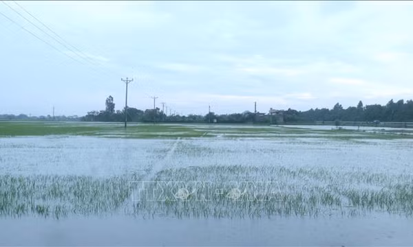 Hưng Yên ứng phó mưa lớn, phòng chống ngập úng hiệu quả