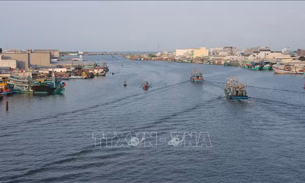 Chuyển hồ sơ vụ việc ở Cà Mau đến Bộ Công an