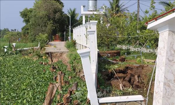 Cấp bách kiểm soát, ứng phó tình huống sạt lở bờ sông Vàm Cỏ Tây