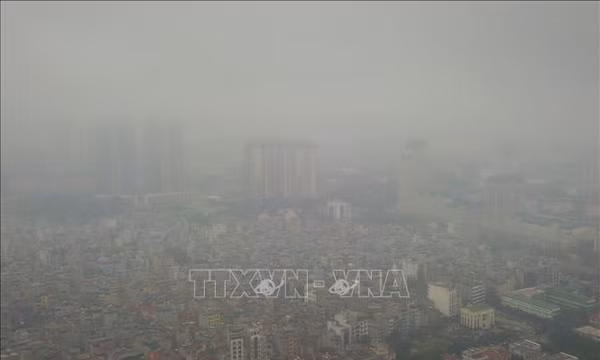 Cà Mau khẩn trương xác định hiện tượng không khí mờ đục kéo dài