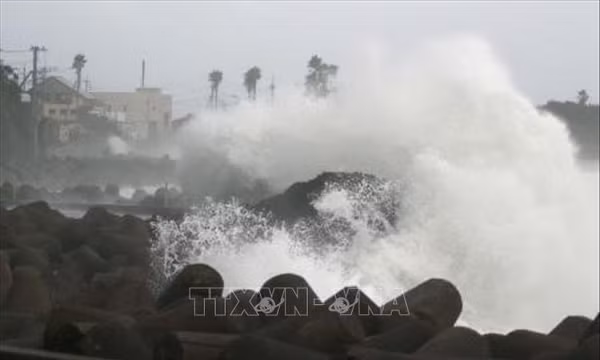 Bão Dujuan áp sát, Nhật Bản tạm dừng một số hoạt động giao thông và sự kiện