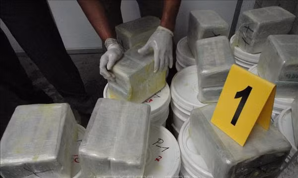 Mexico thu giữ 1,2 tấn cocaine và bắt giữ thủ lĩnh băng nhóm Mara 18