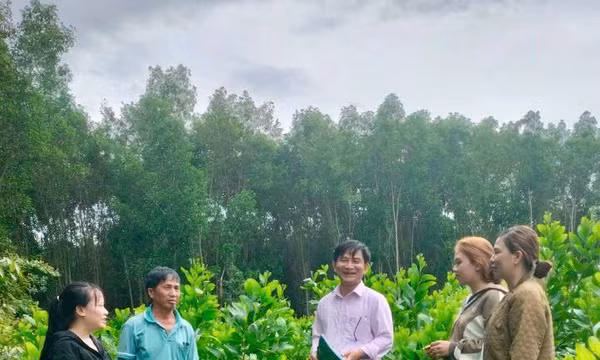 Dấu ấn tín dụng chính sách trên vùng sơn cước An Khê