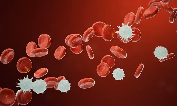 Phát hiện gene gây kháng thuốc trong điều trị ung thư máu