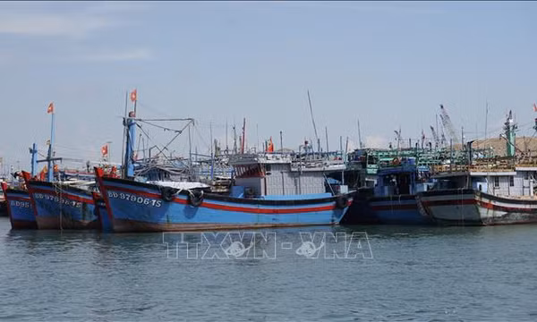 Gia Lai siết quản lý tàu cá không đủ điều kiện hoạt động