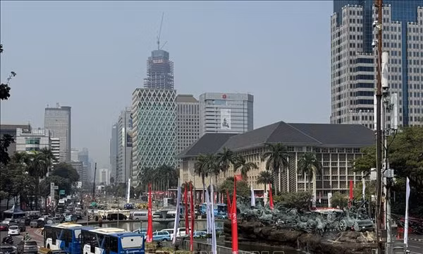 Indonesia chính thức dỡ bỏ hạn ngạch nhập khẩu gia súc sống 