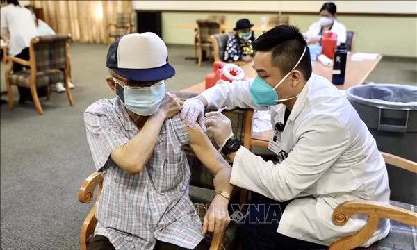 Phát triển vaccine bằng AI – hướng đi gợi mở cho Việt Nam