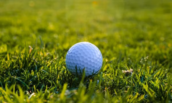 7 năm hứng chịu bóng golf, chủ nhà được bồi thường hàng chục nghìn USD