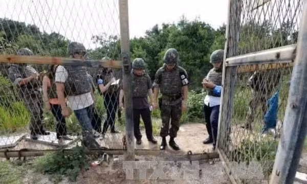 Binh sĩ và nhà báo Hàn Quốc điều tra tại hiện trường vụ nổ mìn tại DMZ năm 2015. Ảnh: AFP/TTXVN (Không được chia sẻ, khai thác bởi bên thứ ba)
