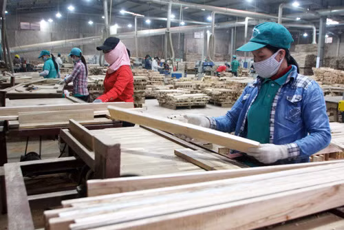 Tập trung tăng trưởng sản xuất và xuất khẩu ảnh 1