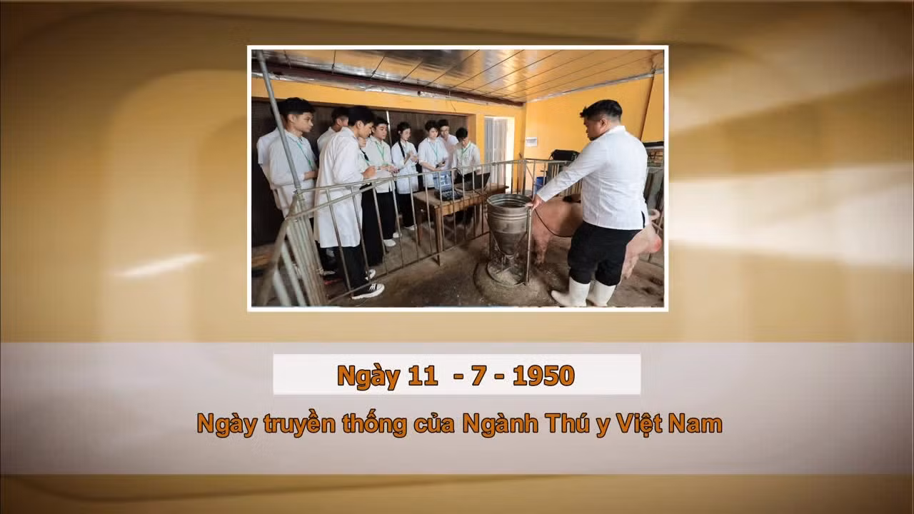 Khoảnh khắc & sự kiện ngày 11/7