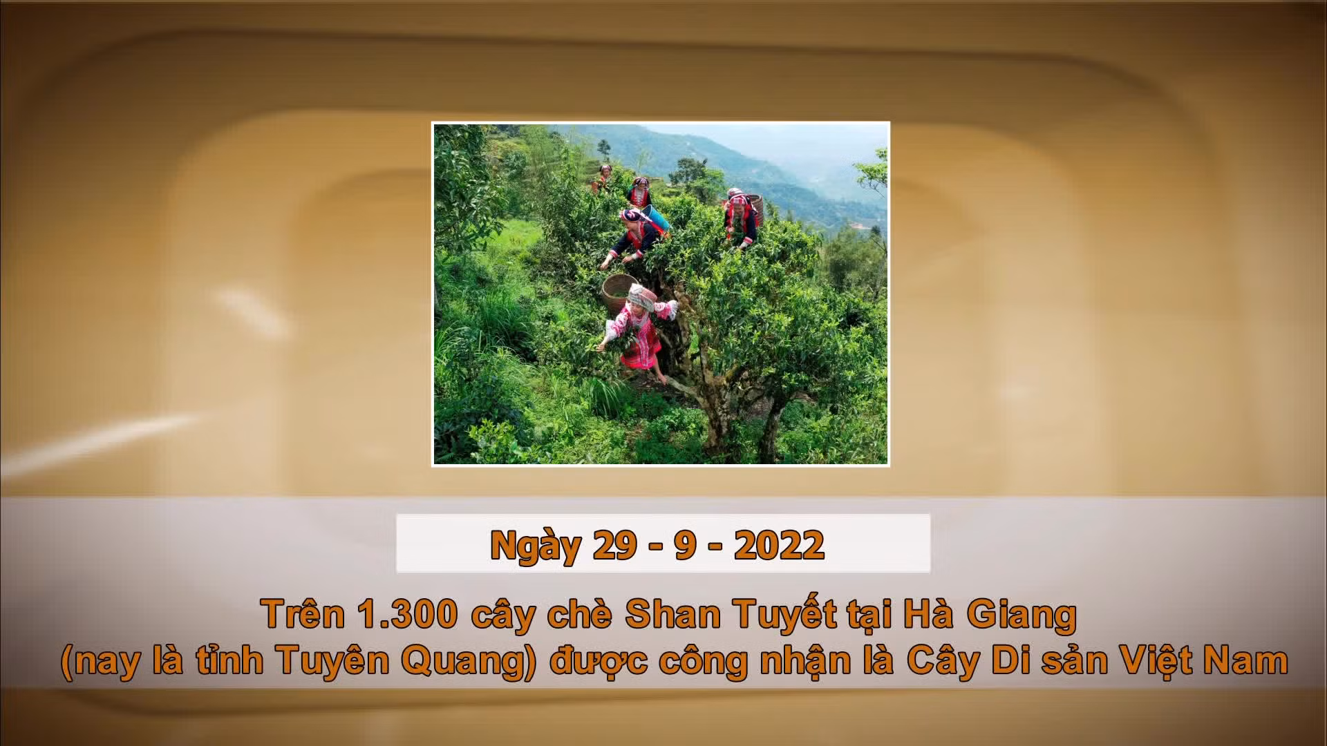 Khoảnh khắc & sự kiện ngày 29/9