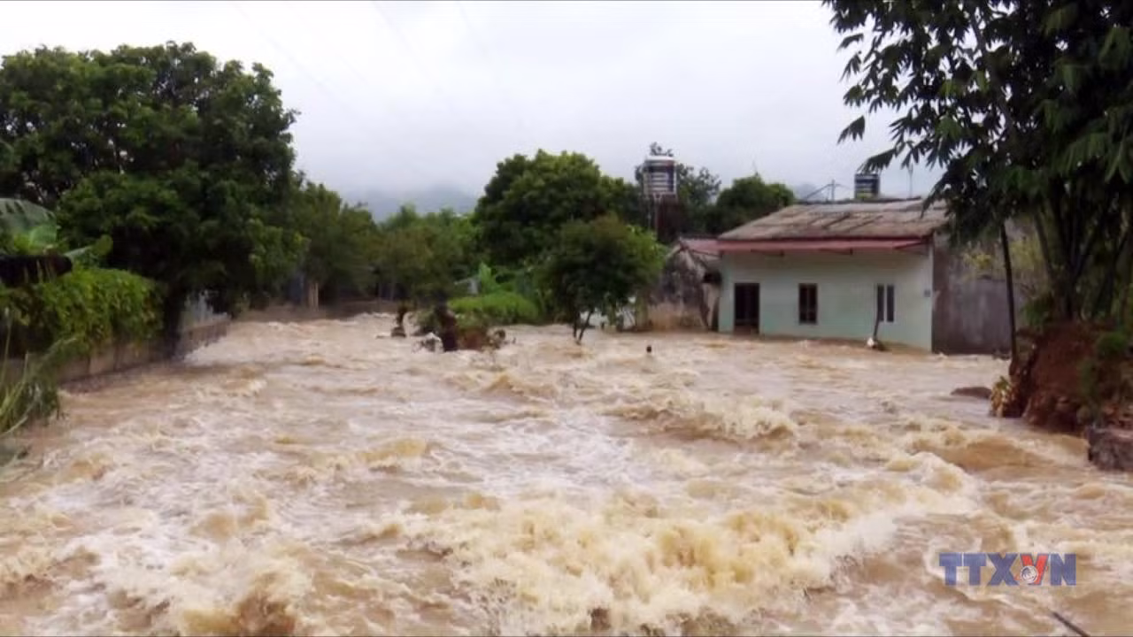 Tin lũ đặc biệt lớn trên sông Cầu, sông Thương