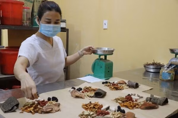 Học Bác mỗi ngày: Phát triển y học cổ truyền, chăm sóc sức khỏe nhân dân tốt hơn trong giai đoạn mới