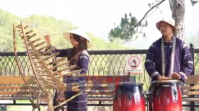 Chủ động chấp hành quy định về bản quyền âm nhạc ở Đà Lạt