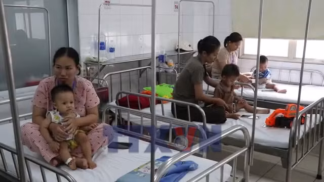 Bệnh tay chân miệng gia tăng nhanh ở Huế