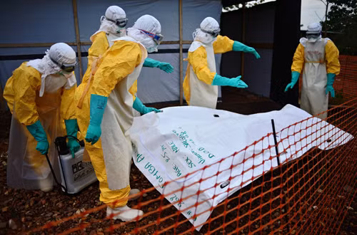 Nigeria: Ca tử vong thứ 4 do virus Ebola ảnh 1