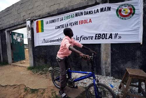 Các nước khẩn trương đối phó dịch Ebola ảnh 1