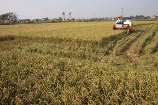 Điều chỉnh chính sách cho vay vốn với tam nông ảnh 1