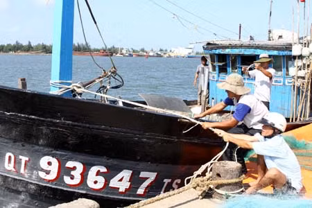 Chủ động ứng phó với bão số 8 ảnh 2