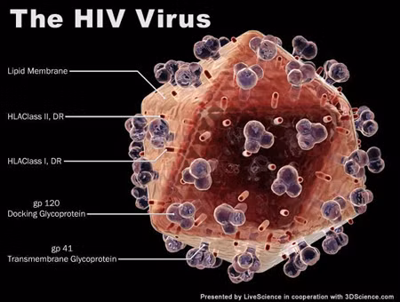 Công nghệ nano 'siêu nhạy' chẩn đoán ung thư, HIV ảnh 1