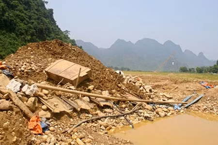 Bắc Kạn vẫn nóng 'nạn' đào vàng ảnh 1