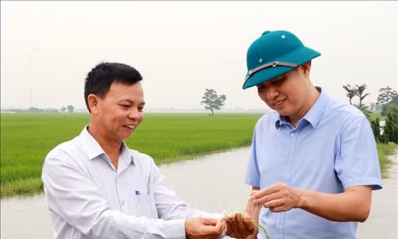 Phát huy vai trò tiên phong của đảng viên ở cơ sở