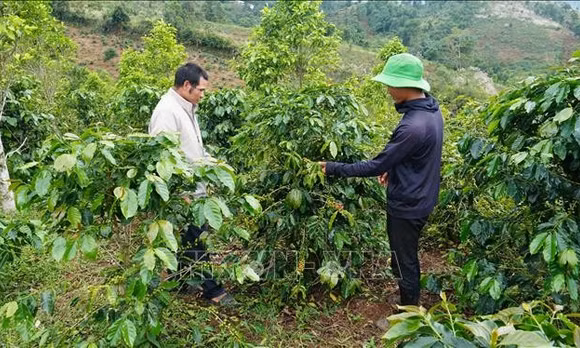 Quy định 224-QĐ/TW: Khơi thông nguồn lực phát triển - Bài cuối