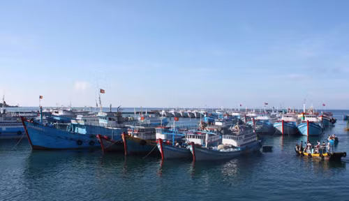 Tổ hợp tác đoàn kết trên biển ảnh 2