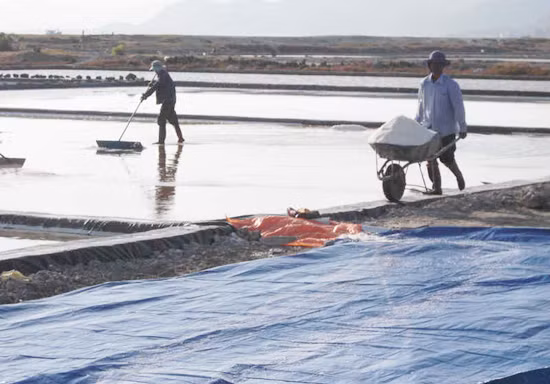 Mô hình sản xuất muối trải bạt có nguy cơ 'chết yểu' ảnh 1