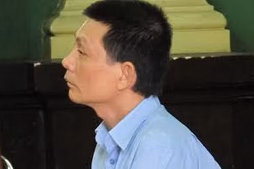 Luật sư lừa đảo 'chạy án', lĩnh 16 năm tù ảnh 1