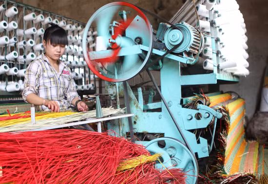 Nghề dệt chiếu cói Phú Tân ảnh 8