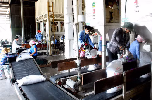 Thủ tướng chỉ thị giải quyết khó khăn, thúc đẩy sản xuất kinh doanh ảnh 1