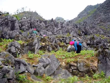 Hà Giang tập trung vốn đầu tư xây dựng cơ sở hạ tầng huyện nghèo ảnh 1
