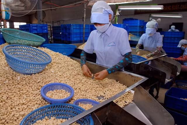  Xuất khẩu nông, lâm, thủy sản đạt 12 tỷ USD ảnh 1