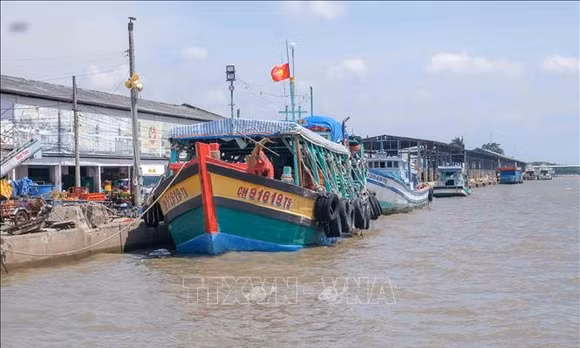 Hỗ trợ giải bản tàu cá, tạo sinh kế bền vững cho ngư dân