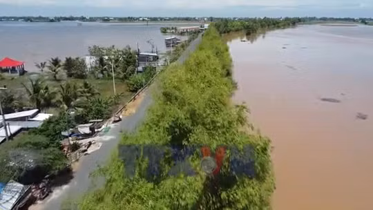 'Vành đai xanh' trên biên giới Đồng Tháp