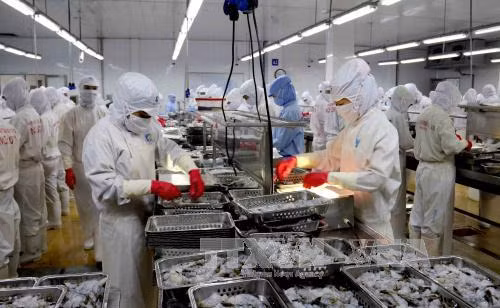 Xuất khẩu thủy sản có thể đạt 8 tỷ USD trong năm 2017 ảnh 1