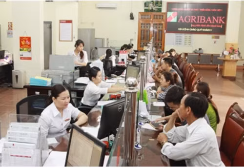 Agribank chung tay xây dựng Tây Bắc phát triển bền vững ảnh 1