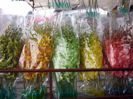 Chợ hoa Quảng An ảnh 5
