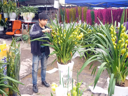Chợ hoa Quảng An ảnh 10