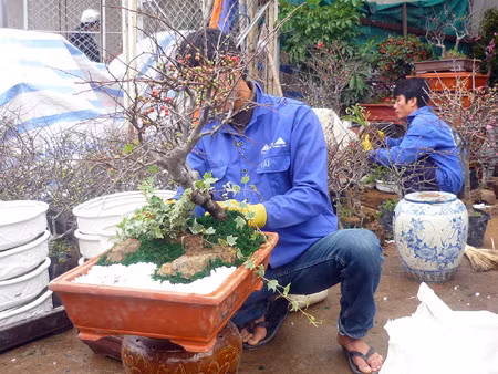 Chợ hoa Quảng An ảnh 11
