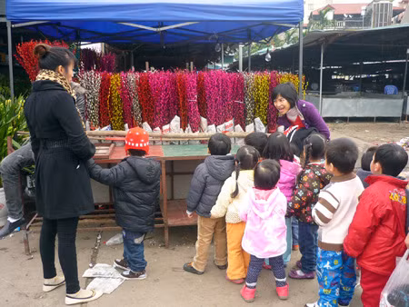Chợ hoa Quảng An ảnh 18