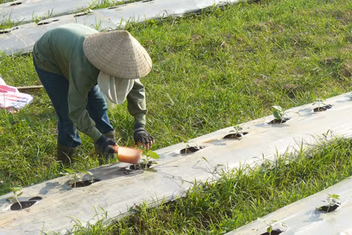 Kỳ Sơn thành công trong xây dựng nông thôn mới ảnh 2