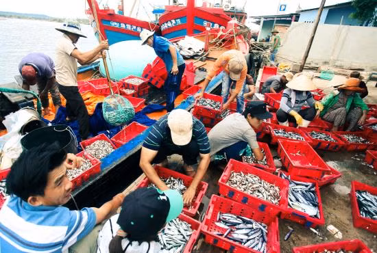 Điểm tựa tin cậy cho ngư dân bám biển, vươn khơi xa ảnh 14