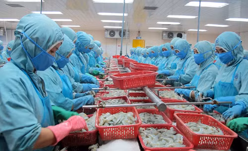 WTO công bố phán quyết vụ kiện tôm giữa Việt Nam và Mỹ ảnh 1