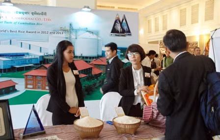 Việt Nam tham gia Hội nghị Gạo thế giới ảnh 1