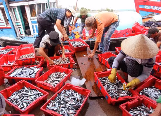 Điểm tựa tin cậy cho ngư dân bám biển, vươn khơi xa ảnh 13