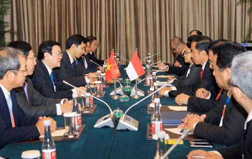 Chủ tịch nước gặp Tổng thống Indonesia bên lề APEC ảnh 1
